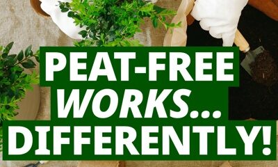 The Responsible Sourcing Scheme Supports Peat-Free Consumer Messaging