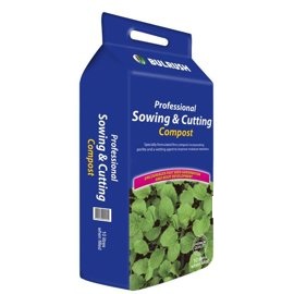 Bulrush Sow & Cutting